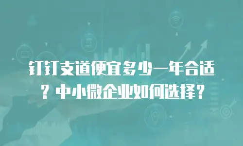 钉钉支道便宜多少一年合适？中小微企业如何选择？
