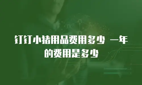 钉钉小猪用品费用多少 一年的费用是多少