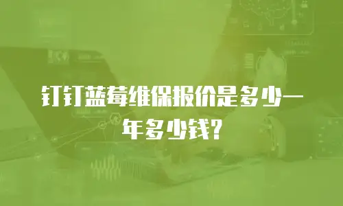 钉钉蓝莓维保报价是多少一年多少钱？