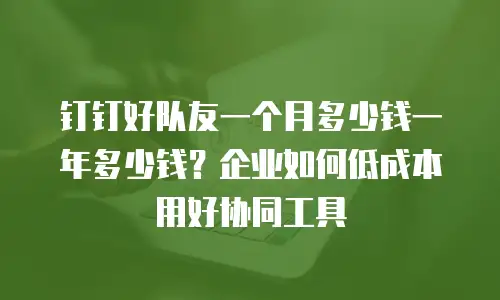 钉钉好队友一个月多少钱一年多少钱？企业如何低成本用好协同工具
