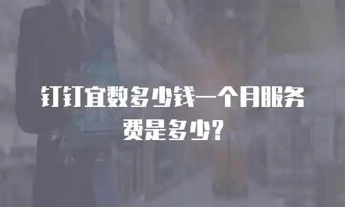钉钉宜数多少钱一个月服务费是多少？