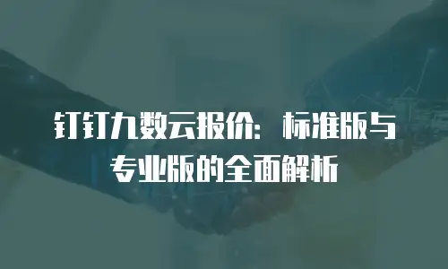 钉钉九数云报价：标准版与专业版的全面解析