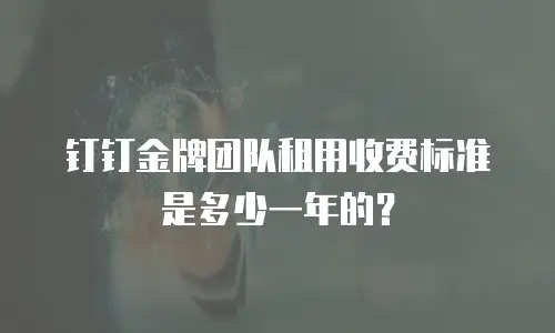 钉钉金牌团队租用收费标准是多少一年的？
