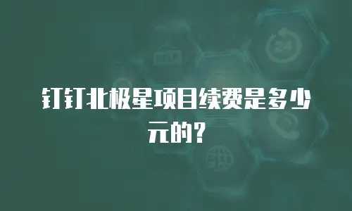 钉钉北极星项目续费是多少元的？