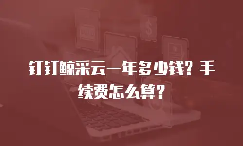 钉钉鲸采云一年多少钱？手续费怎么算？