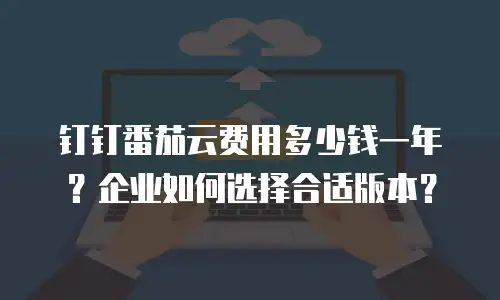 钉钉番茄云费用多少钱一年？企业如何选择合适版本？