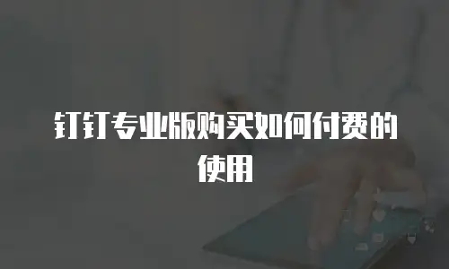 钉钉专业版购买如何付费的使用