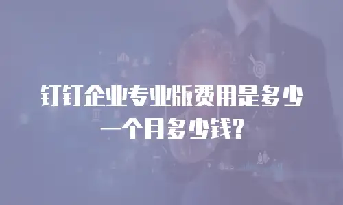 钉钉企业专业版费用是多少一个月多少钱？
