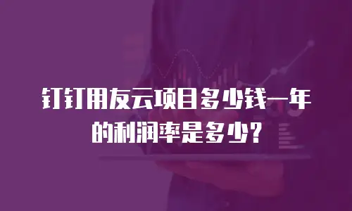 钉钉用友云项目多少钱一年的利润率是多少？