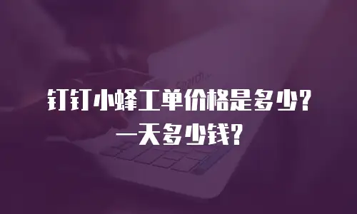 钉钉小蜂工单价格是多少？一天多少钱？