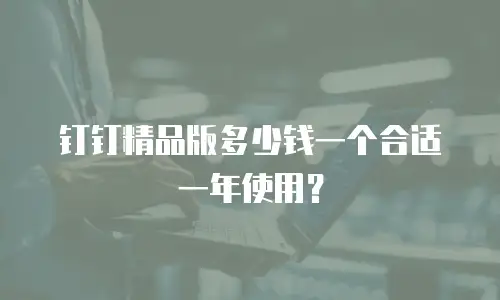 钉钉精品版多少钱一个合适一年使用？