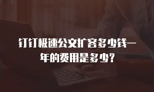 钉钉极速公文扩容多少钱一年的费用是多少？