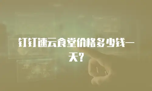 钉钉速云食堂价格多少钱一天？