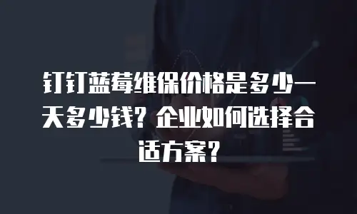 钉钉蓝莓维保价格是多少一天多少钱？企业如何选择合适方案？