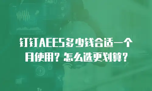 钉钉AEES多少钱合适一个月使用？怎么选更划算？