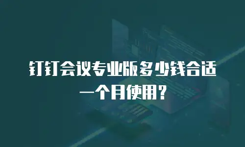 钉钉会议专业版多少钱合适一个月使用？