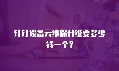 钉钉设备云维保升级要多少钱一个？