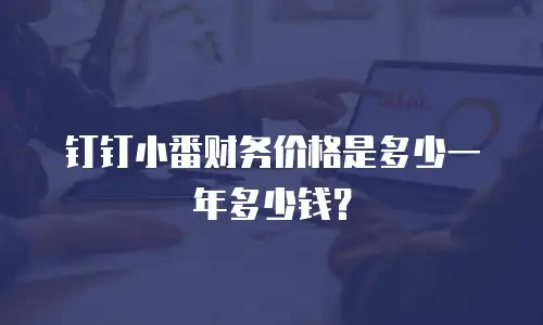 钉钉小番财务价格是多少一年多少钱？