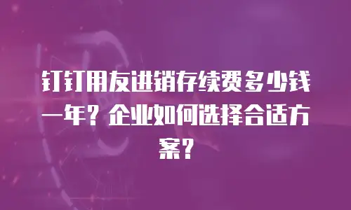 钉钉用友进销存续费多少钱一年？企业如何选择合适方案？