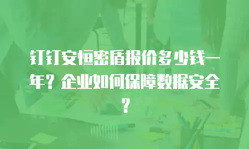 钉钉安恒密盾报价多少钱一年？企业如何保障数据安全？
