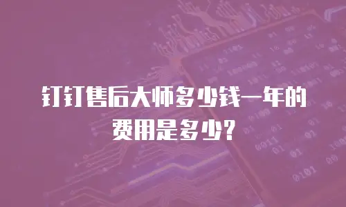 钉钉售后大师多少钱一年的费用是多少？