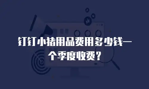 钉钉小猪用品费用多少钱一个季度收费？