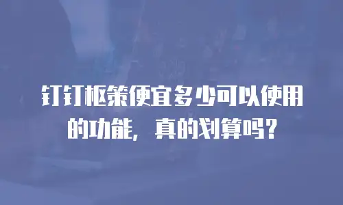 钉钉枢策便宜多少可以使用的功能，真的划算吗？