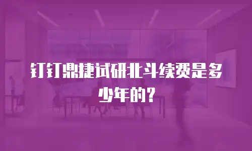 钉钉鼎捷试研北斗续费是多少年的？