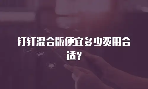 钉钉混合版便宜多少费用合适？