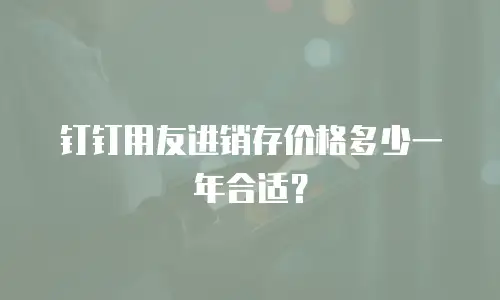 钉钉用友进销存价格多少一年合适？