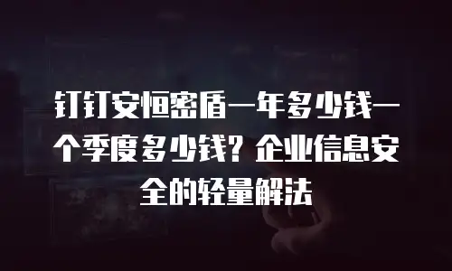 钉钉安恒密盾一年多少钱一个季度多少钱？企业信息安全的轻量解法