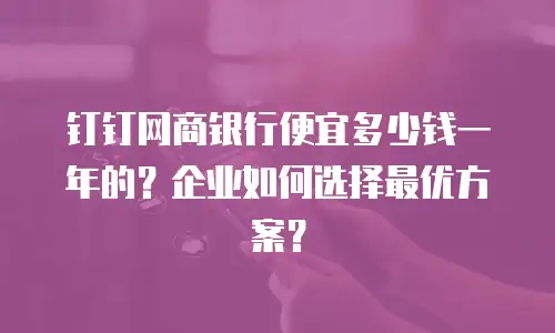 钉钉网商银行便宜多少钱一年的？企业如何选择最优方案？