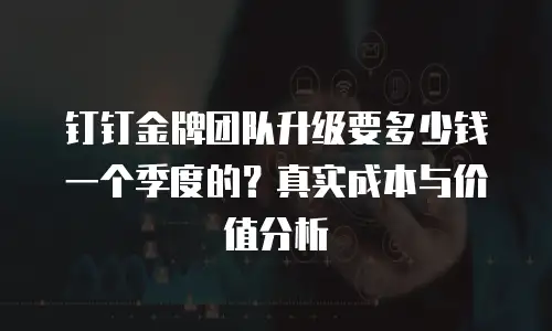 钉钉金牌团队升级要多少钱一个季度的？真实成本与价值分析