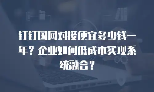 钉钉国网对接便宜多少钱一年？企业如何低成本实现系统融合？