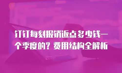 钉钉每刻报销返点多少钱一个季度的？费用结构全解析