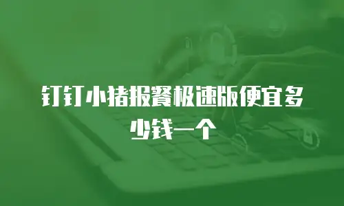 钉钉小猪报餐极速版便宜多少钱一个