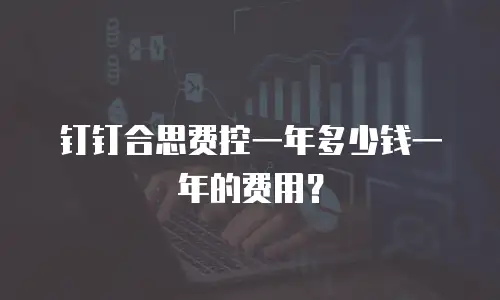 钉钉合思费控一年多少钱一年的费用？