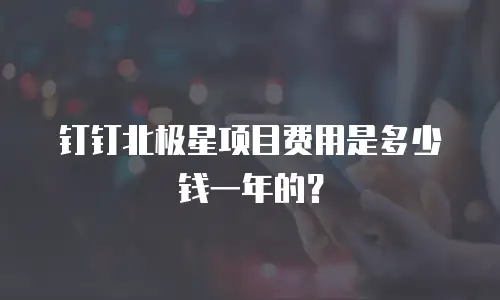 钉钉北极星项目费用是多少钱一年的？