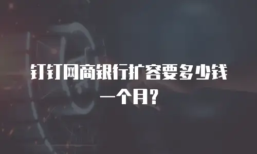 钉钉网商银行扩容要多少钱一个月？