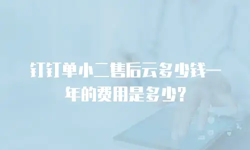 钉钉单小二售后云多少钱一年的费用是多少？
