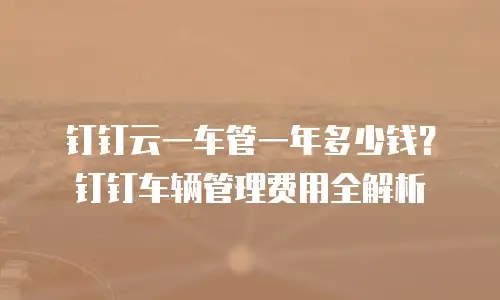钉钉云一车管一年多少钱？钉钉车辆管理费用全解析