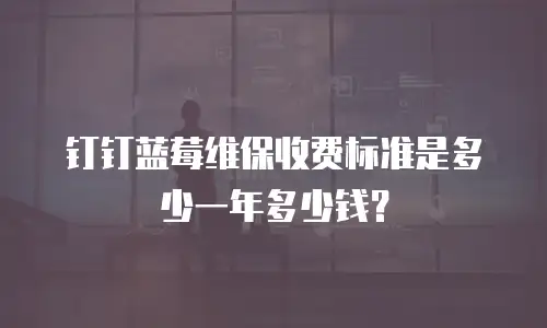 钉钉蓝莓维保收费标准是多少一年多少钱？