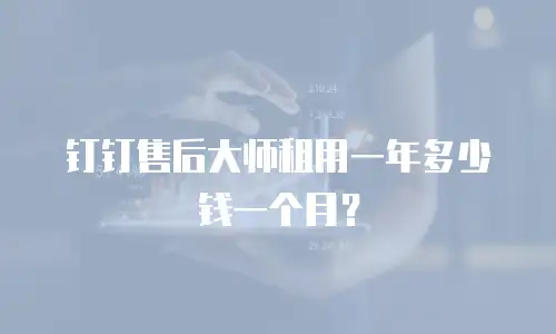钉钉售后大师租用一年多少钱一个月？