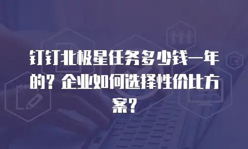 钉钉北极星任务多少钱一年的？企业如何选择性价比方案？