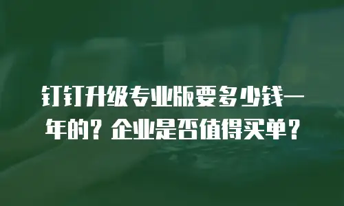 钉钉升级专业版要多少钱一年的？企业是否值得买单？