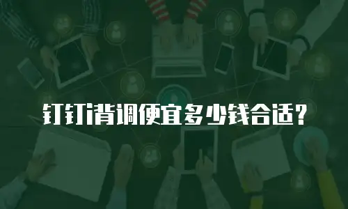 钉钉i背调便宜多少钱合适？