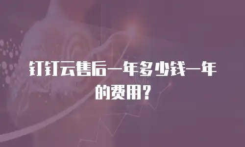 钉钉云售后一年多少钱一年的费用？