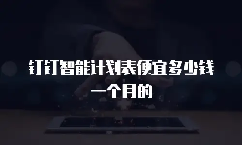 钉钉智能计划表便宜多少钱一个月的