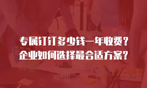 专属钉钉多少钱一年收费？企业如何选择最合适方案？