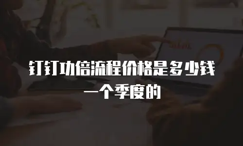 钉钉功倍流程价格是多少钱一个季度的